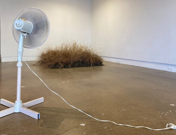 A photograph of an installation by Madi Ortega. The image shows a plot of grass placed in the corner of the gallery with an oscillating fan in the foreground.