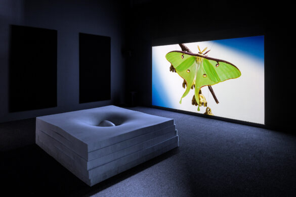 A photograph of an installation which includes a large video projection of a green butterfly and a large square seating area. Artwork by VLM.